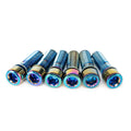 vis de potence salt oil slick