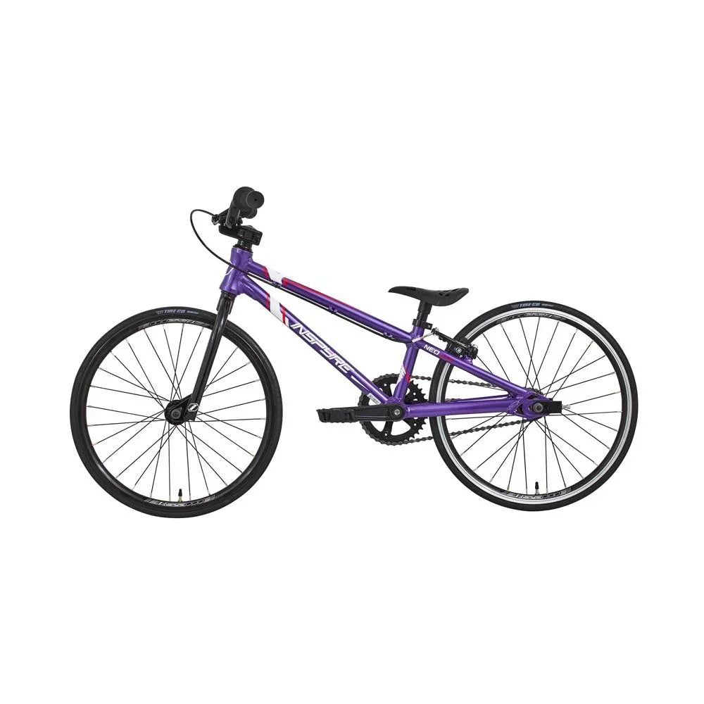 Vélo BMX violet pour enfant, cadre robuste, roues solides, idéal pour débuter en freestyle