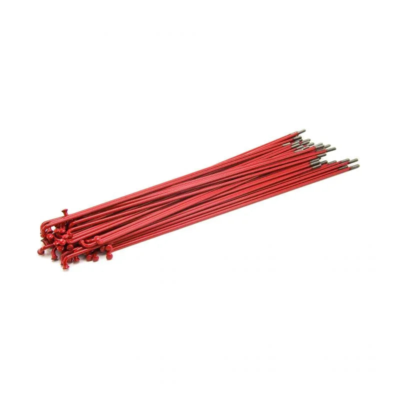 RAYONS SALT STAINLESS STEEL RED - PROCESS 
